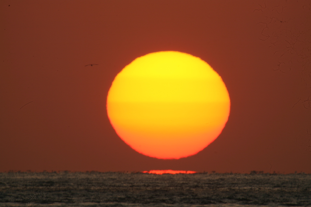 今日の舞子公園の夕景