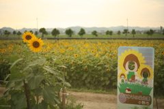 小野市ひまわりの丘公園