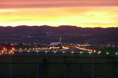 千里川の土手より空活しました