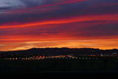 千里川の土手より空活しました