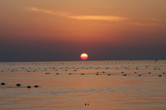 DSC04367
