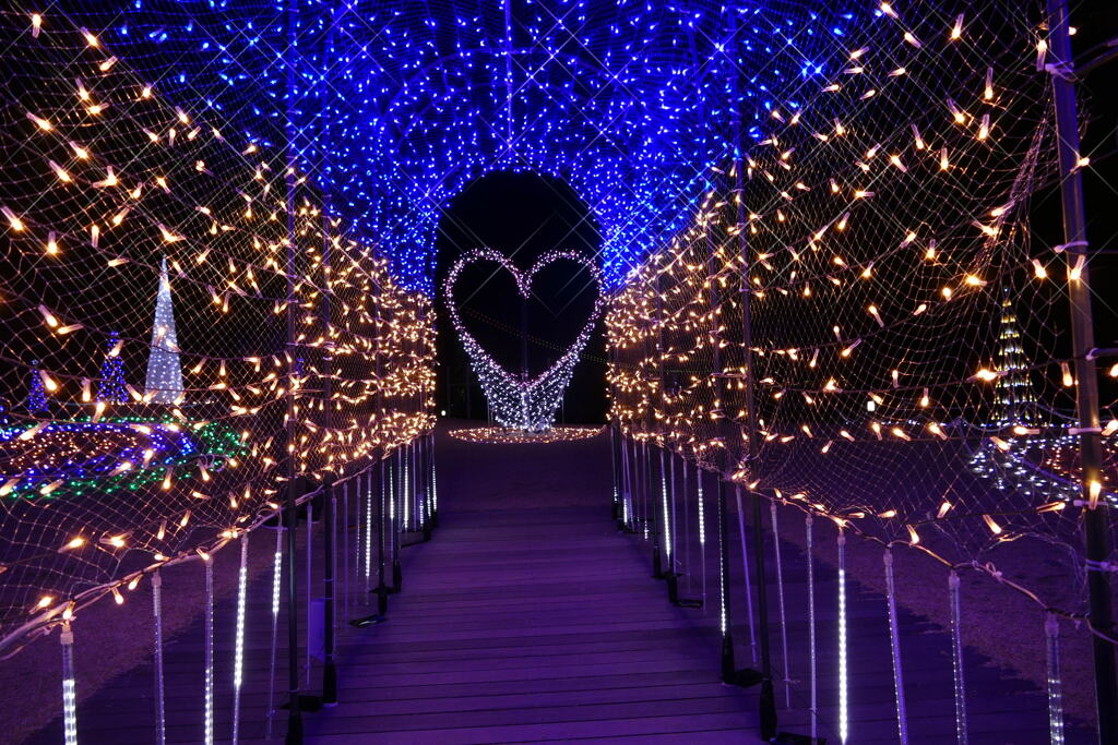 大蔵海岸ハートフルイルミネーション