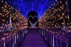 大蔵海岸ハートフルイルミネーション