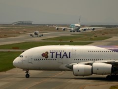 kix関空にて フライングホヌ カイ君 j382a