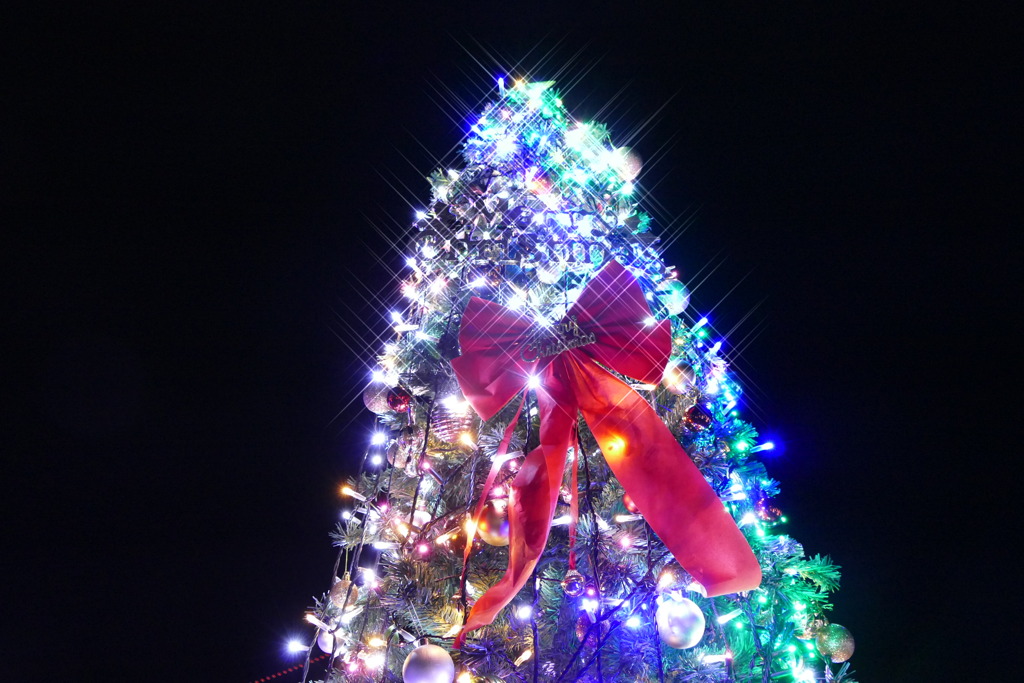 大蔵海岸ハートフルイルミネーション