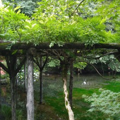 富士山本宮浅間大社