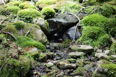 DSC00275