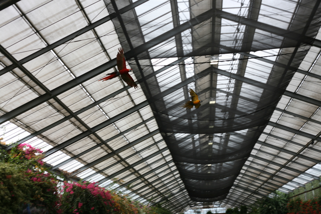 神戸どうぶつ王国