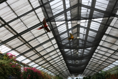 神戸どうぶつ王国