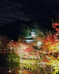 IMG_20181205_171731_915