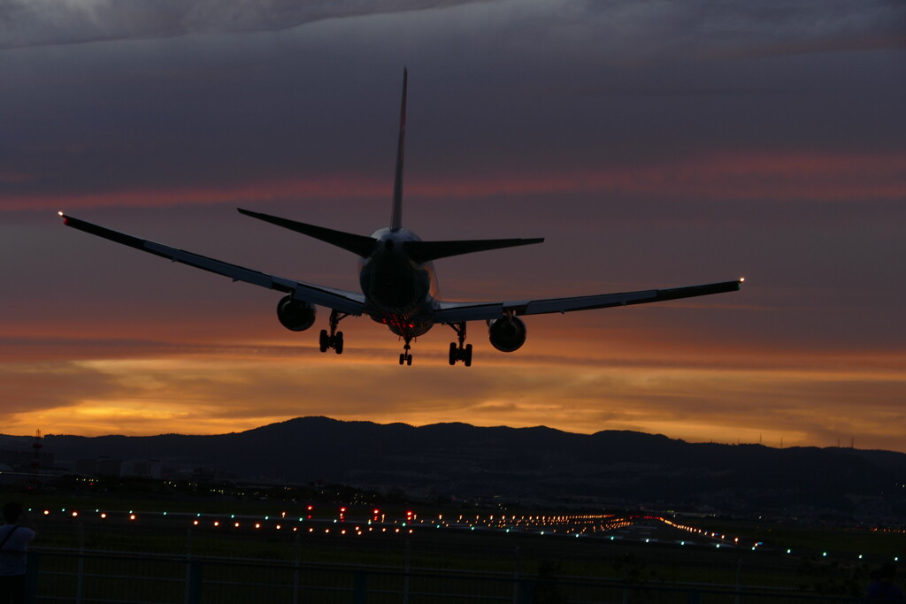 千里川の土手より空活しました