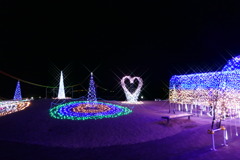 大蔵海岸ハートフルイルミネーション