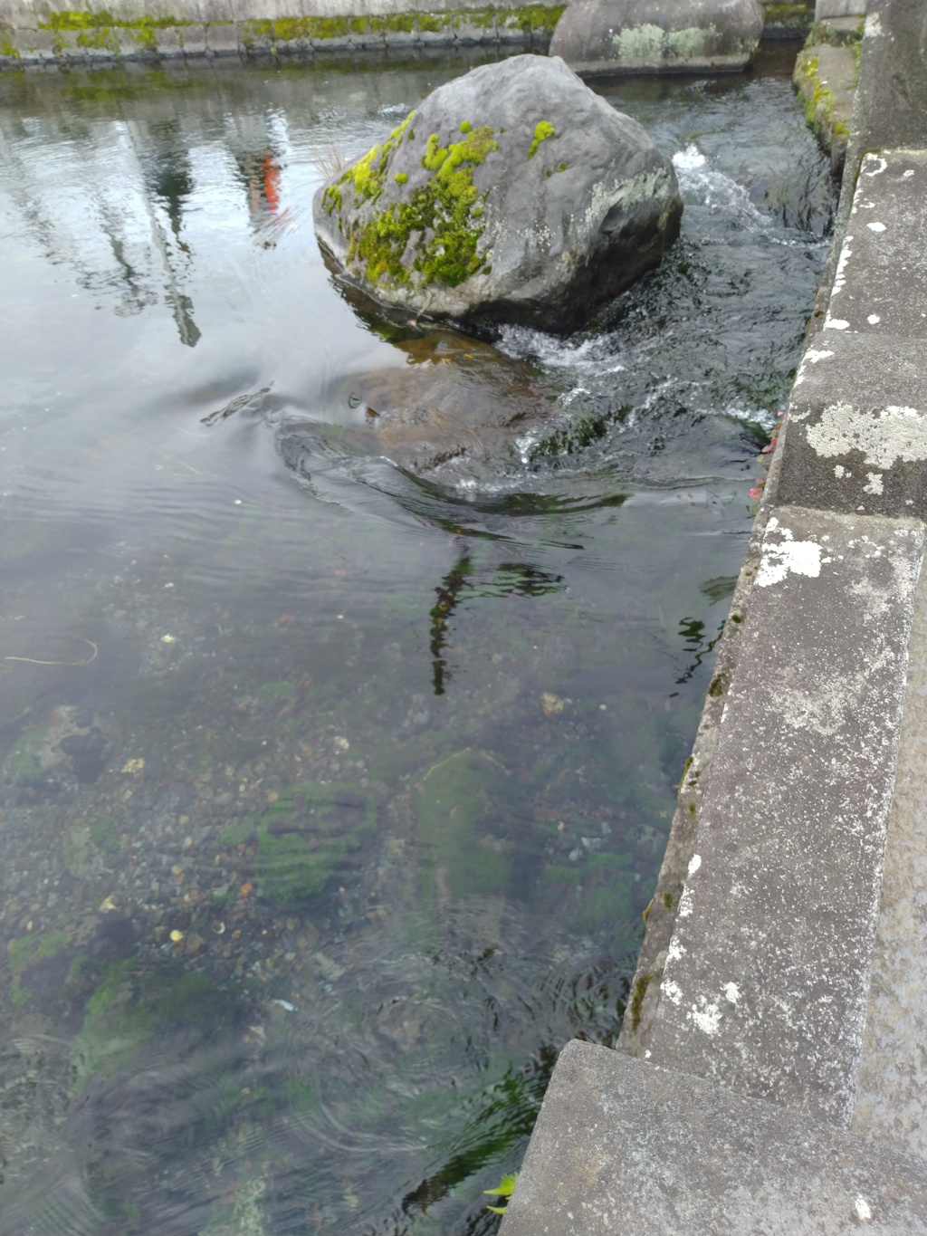 富士山本宮浅間大社