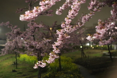 西郷川河口公園