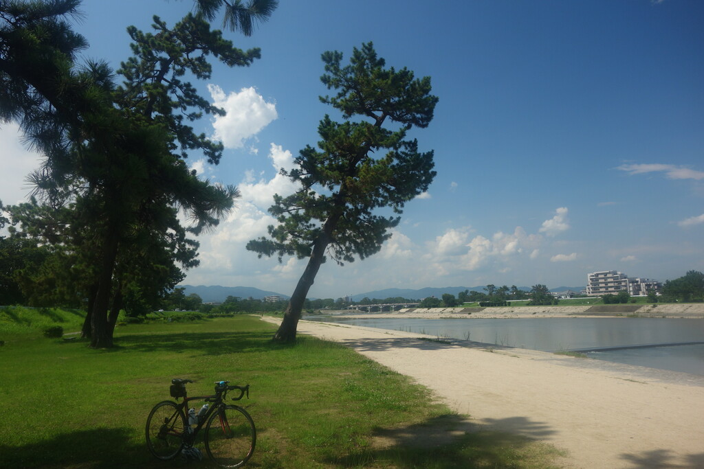 武庫川サイクリングロード