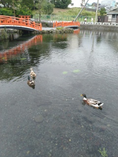 富士山本宮浅間大社