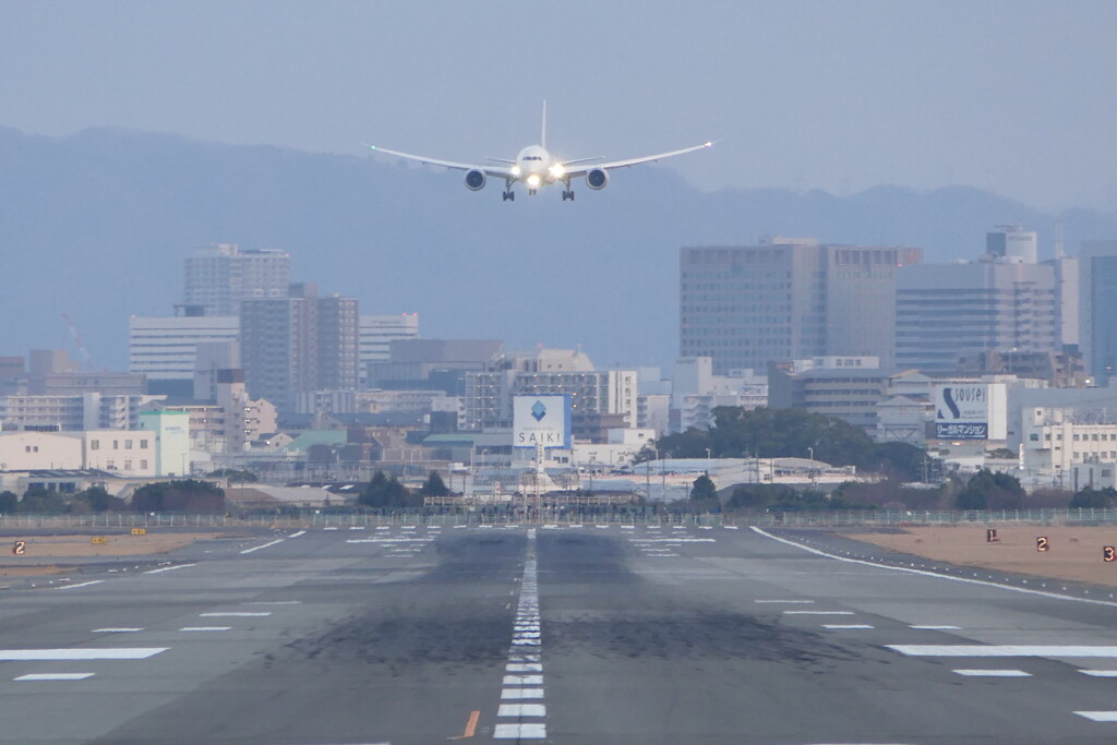 猪名川の土手