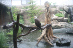 神戸どうぶつ王国