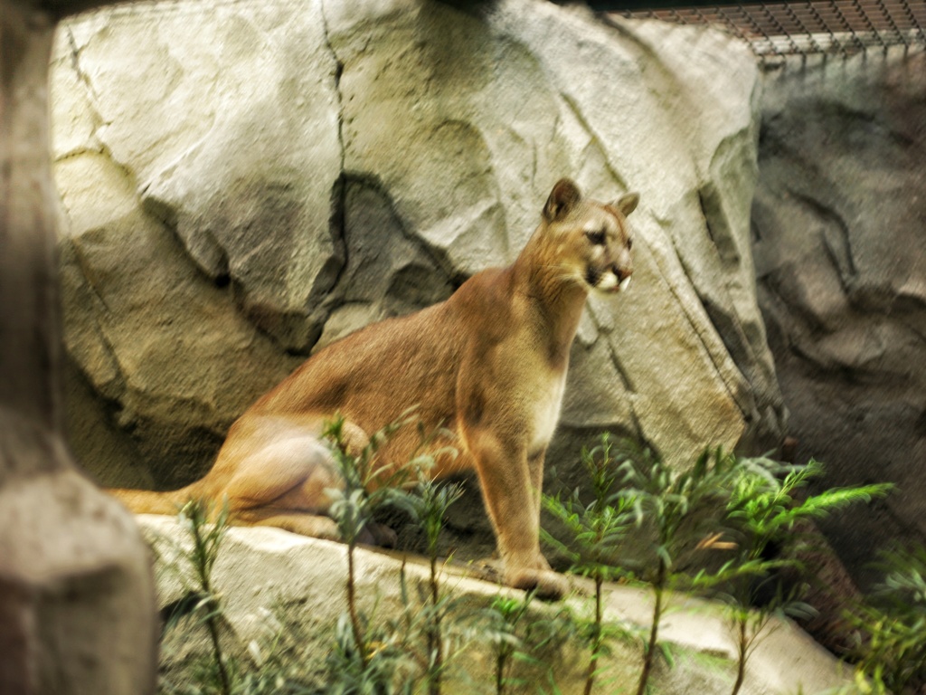 神戸どうぶつ王国