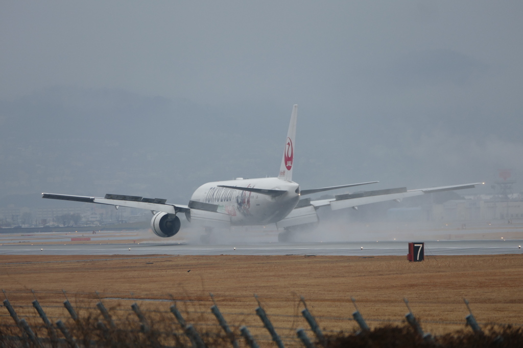 雨の伊丹空港