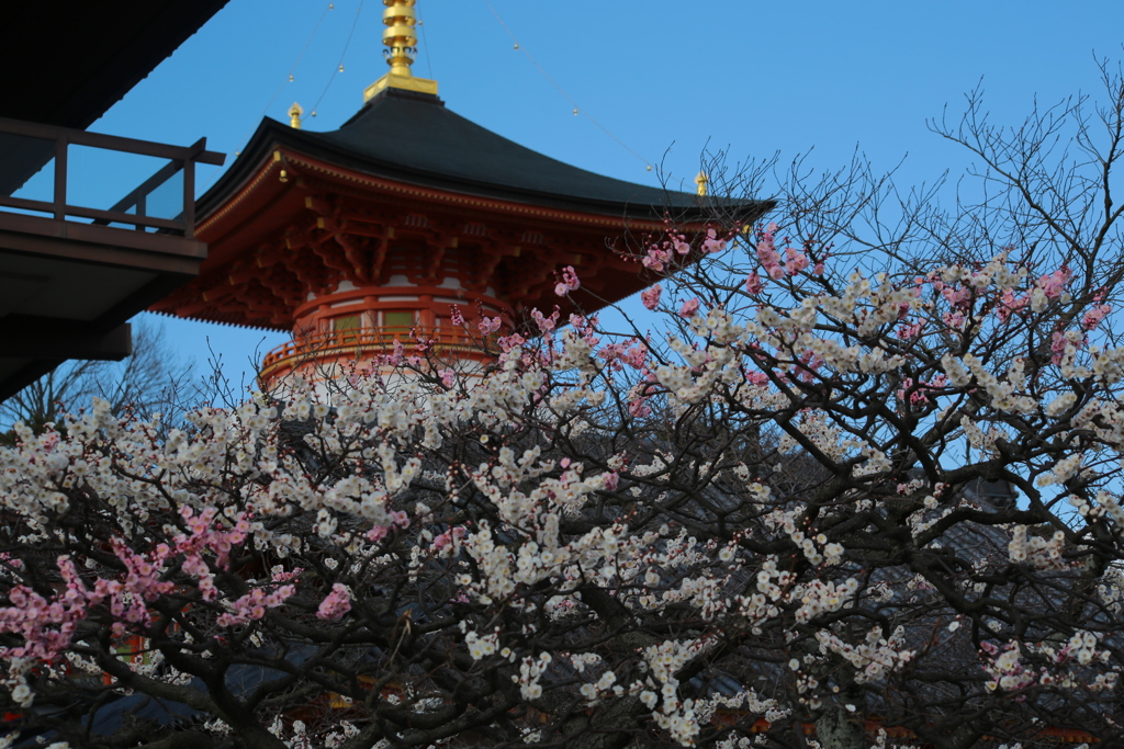 中山寺