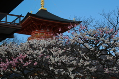 中山寺