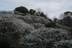 中山寺