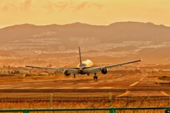 千里川土手の夕景