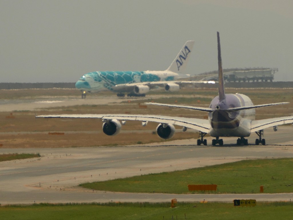 kix関空にて フライングホヌ カイ君 j382a