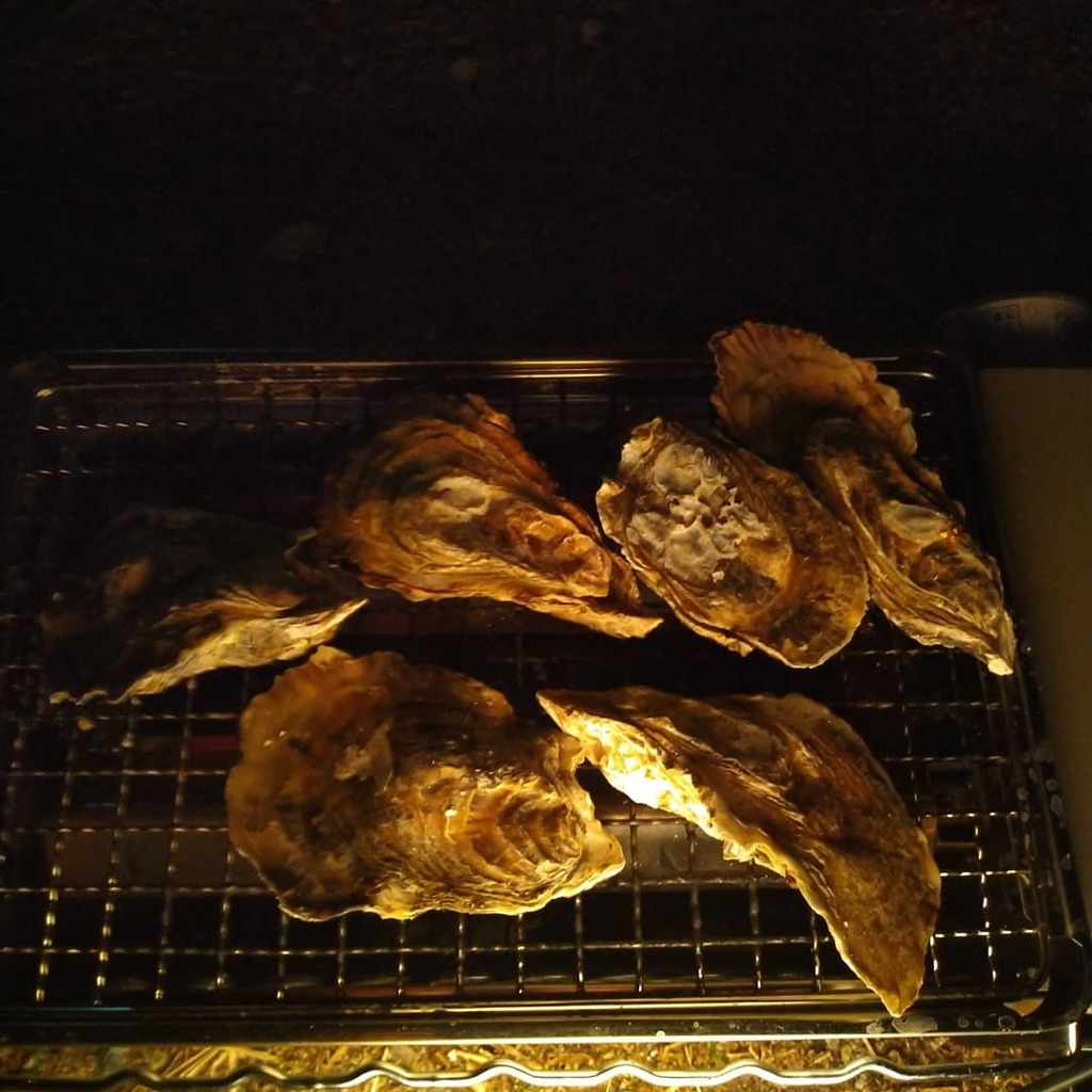 IMG_20190303_193335_407