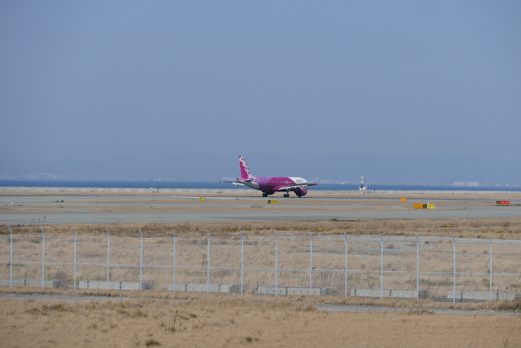 関空