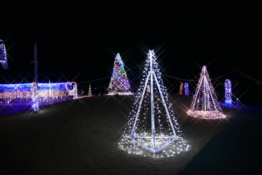 大蔵海岸ハートフルイルミネーション