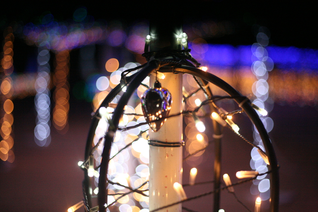 大蔵海岸ハートフルイルミネーション