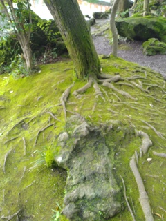 富士山本宮浅間大社
