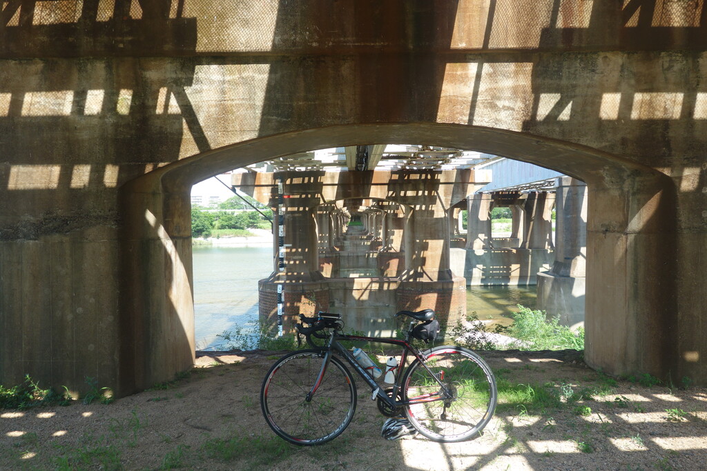 武庫川サイクリングロード