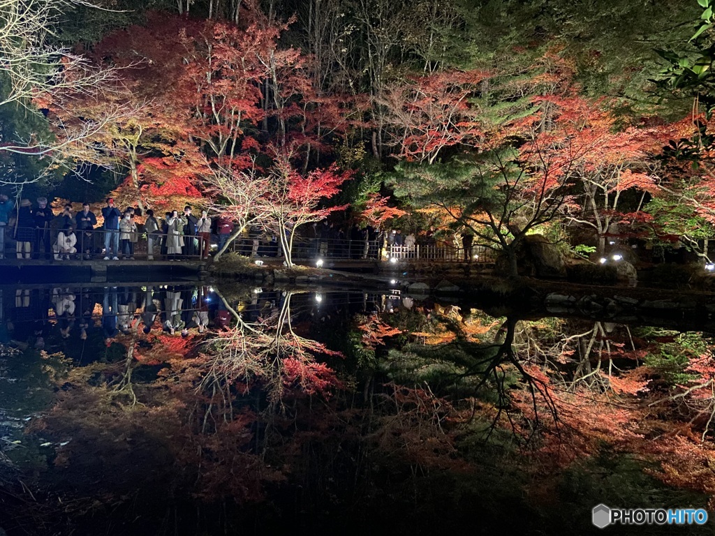 曽木公園ライトアップ