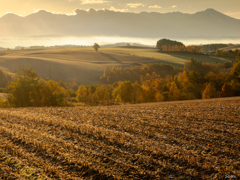 週末ぶらり旅 その6 週末ぶらり旅 その6