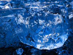 やっと逢えたね