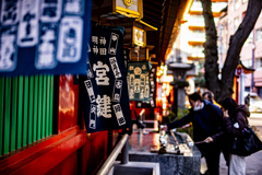 Tokyo Stroll of Colors END