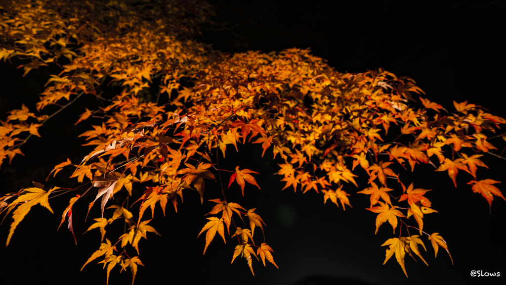 秋夜の静寂