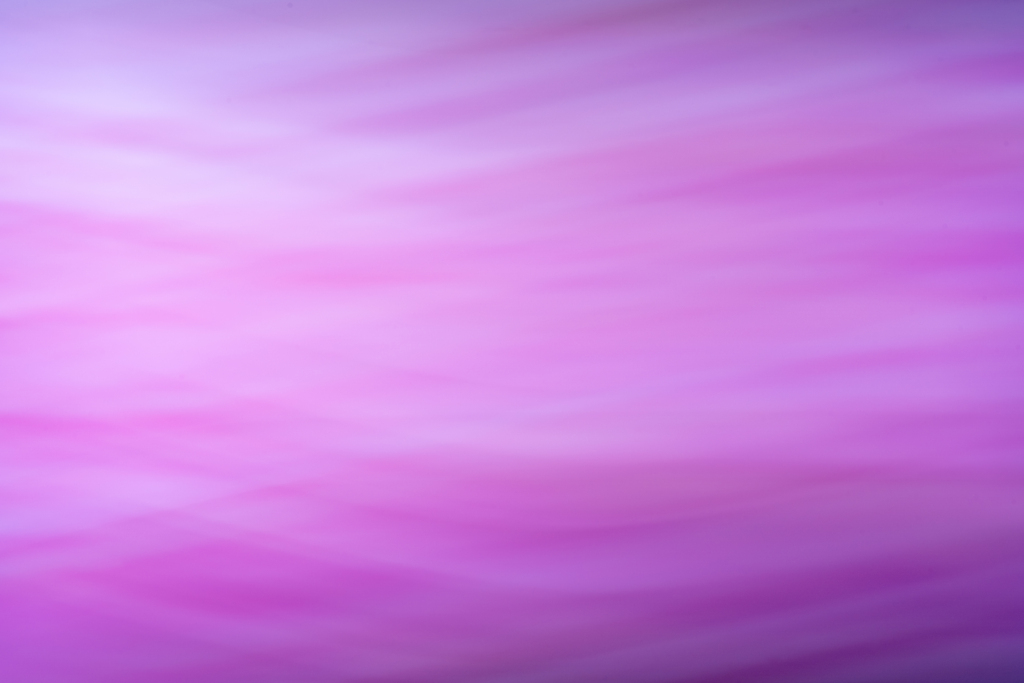 芍薬らぷそでぃ　その２