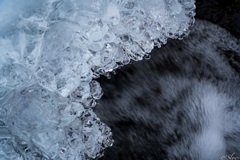 渓流散歩2