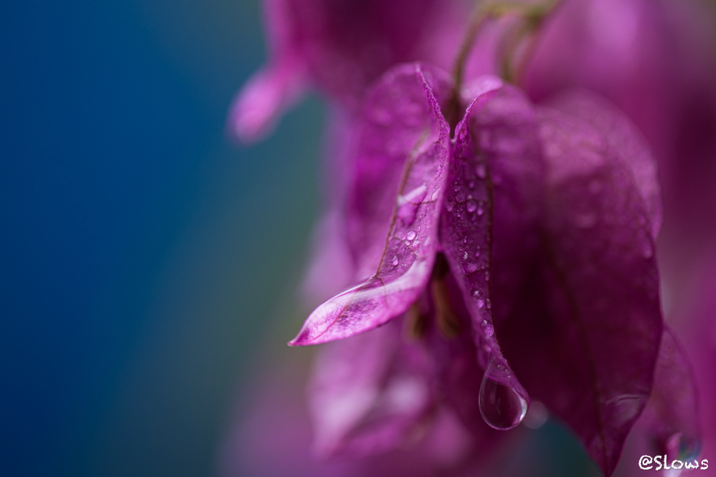 雨の日に身体が揺れる。