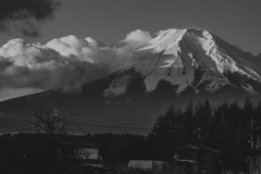 今朝のふじ