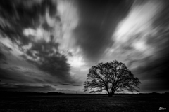  Beyond the earth