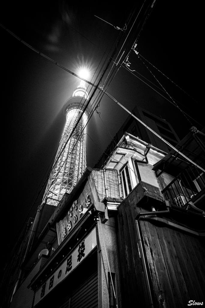 種田