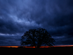 Redline / The first light of the day