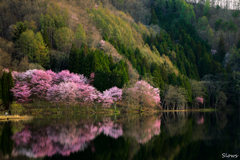 春を訪ねて