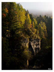 Autumn/Fall in the gorge