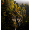 Autumn/Fall in the gorge